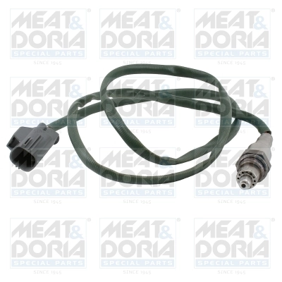 Oxygen Sensor